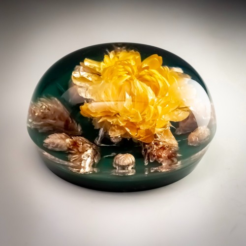Pisapapeles vintage Lucite fundido flor seca real 75 mm Ø decoración del hogar regalo - Imagen 2 de 9