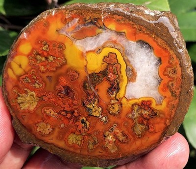 153g Boutique Natural Chicken Oil Yellowish Silk Zhanguo Red Agate Geode ie1249