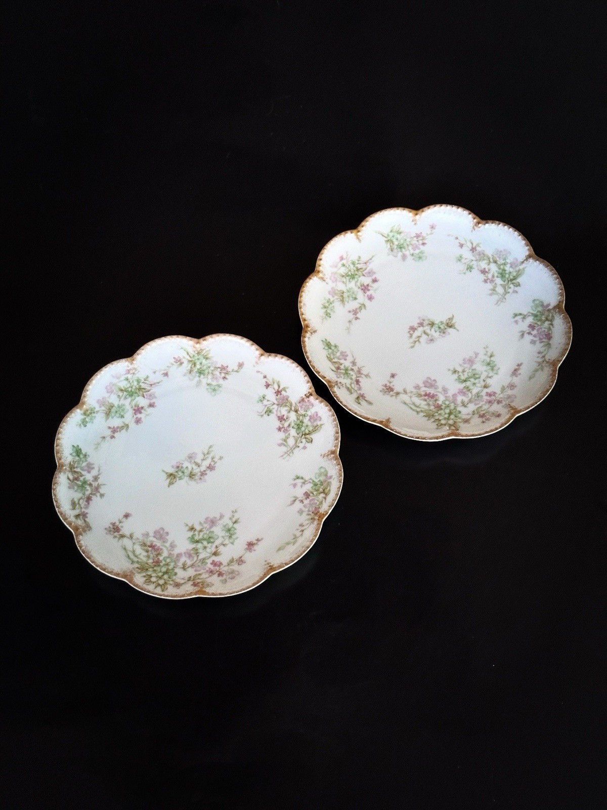 2 VTG HAVILAND & CO Limoges Floral Plates w/ Scalloped Gold Border 7 1/2” France