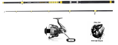 Welsrute -Set -Wallercombo Fanatic Catfish 3,0m 200-400g  Delphin MAMUT NXT