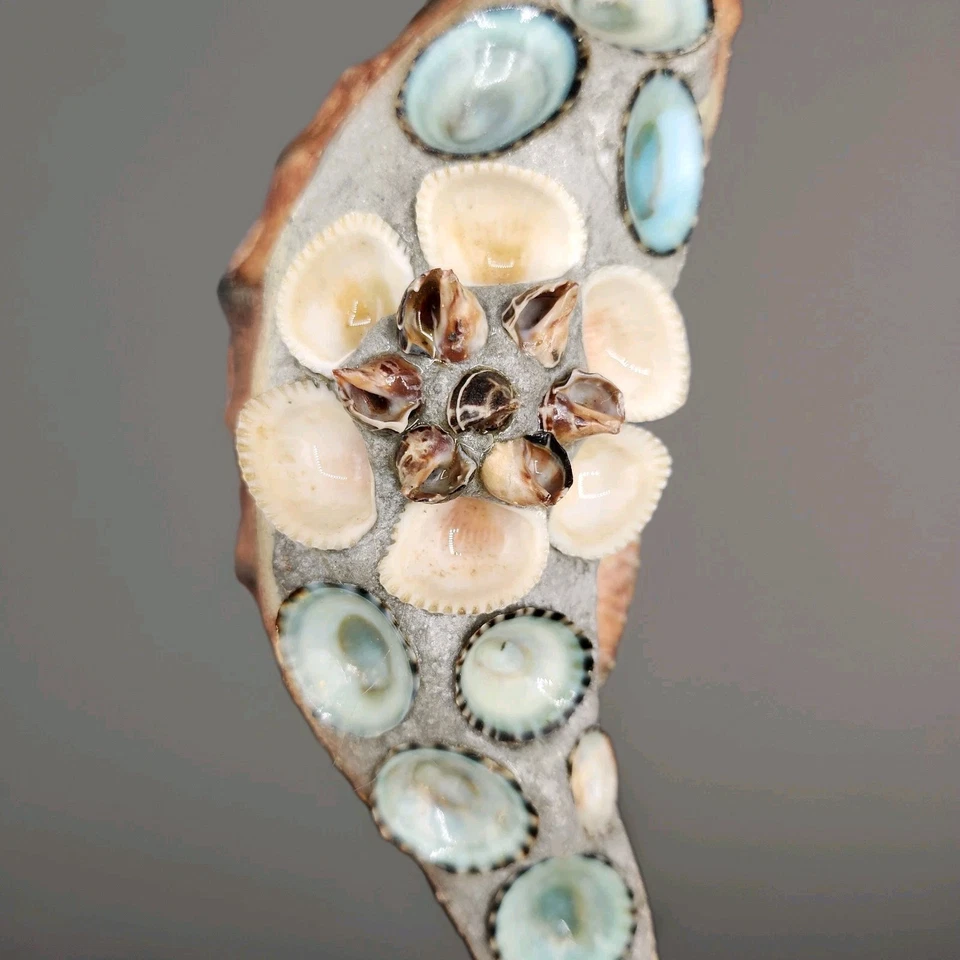 Escultura de caballito de mar de cerámica vintage colgante de pared con conchas marinas diseño de playa 9" Foto 2 de 4