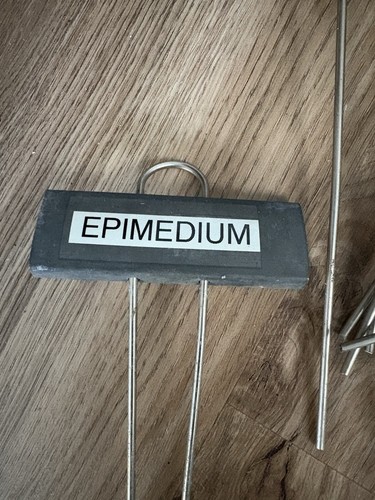 10 Stainless Steel And Zinc Horticultural Plant Labels ( Made In Germany) - Picture 2 of 5