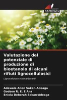 Adewale Allen Sokan-Adeaga (U. A.) | Valutazione Del Potenziale Di Produzione...