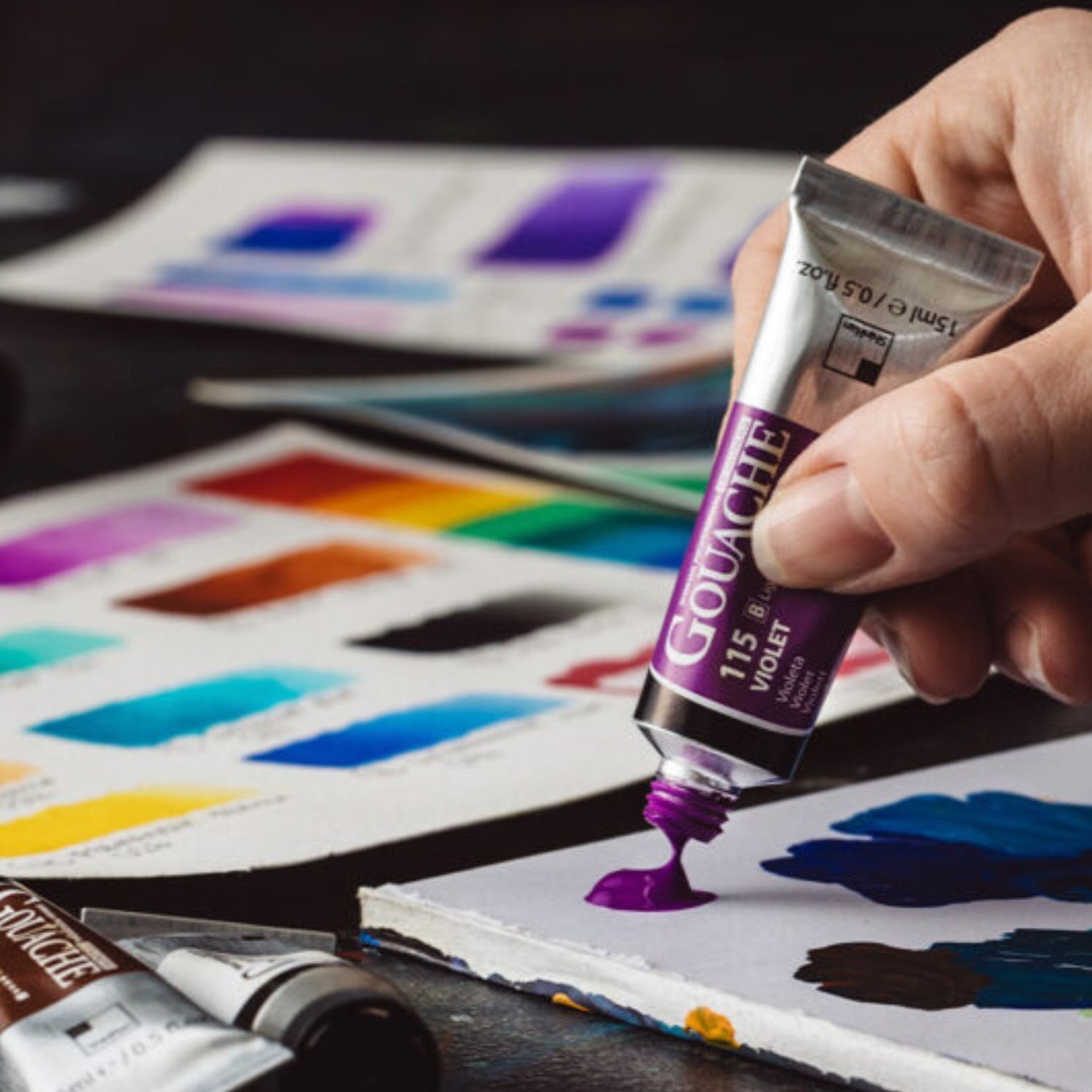 ShinHan Professional Designers Gouache Paint Set 12 x 15ml Tubes Artist Colours