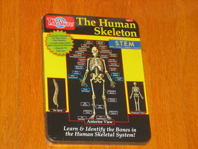 NEW T.S. Shure The Human Skeleton STEM Kit Homeschool Learning Study Aid Age 7+