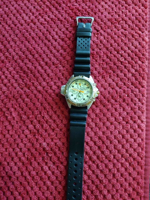 citizen promaster diver aqualand