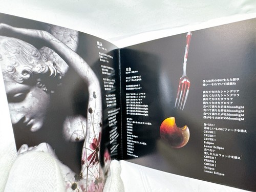 Choose from 52 MEJIBRAY CD & DVD Collection Iconic Visual Kei (V-kei) Rock Band - Picture 184 of 437