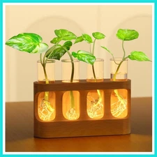 Plant Propagation Station with 9-Speed Adjustable LED Lights, Wooden Stand, 4...