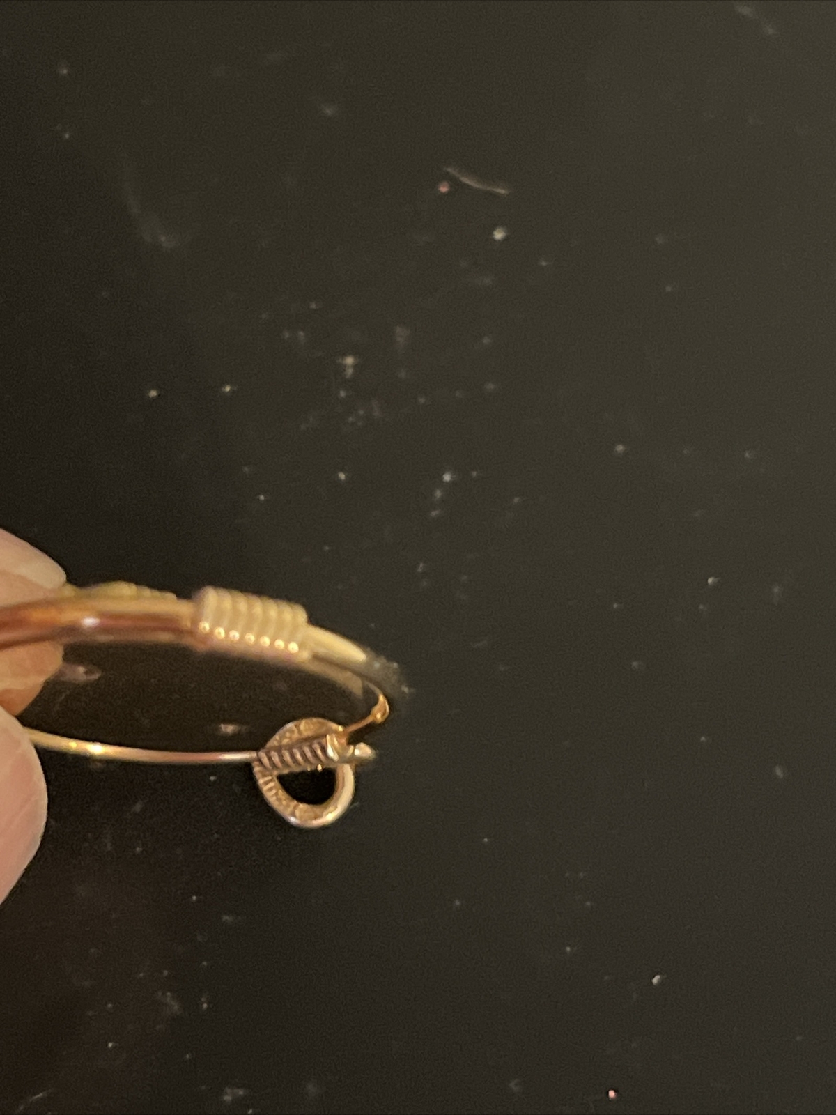 Two DAR Pins/pendants eBay