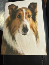 Vintage Lassie Dog Food Recipe Brand Christma...
