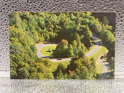 The Loop-Over U.S 441 Great Smoky Mountains National Park Topographical Postcard