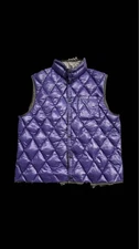NANGA Arc teryx mont bell GAP Down Vest