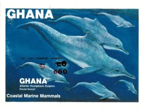 Ghana 1984 - SC# 920 Humpback Dolphin, Marine - Imperf S/S OVPT Surcharged - MNH