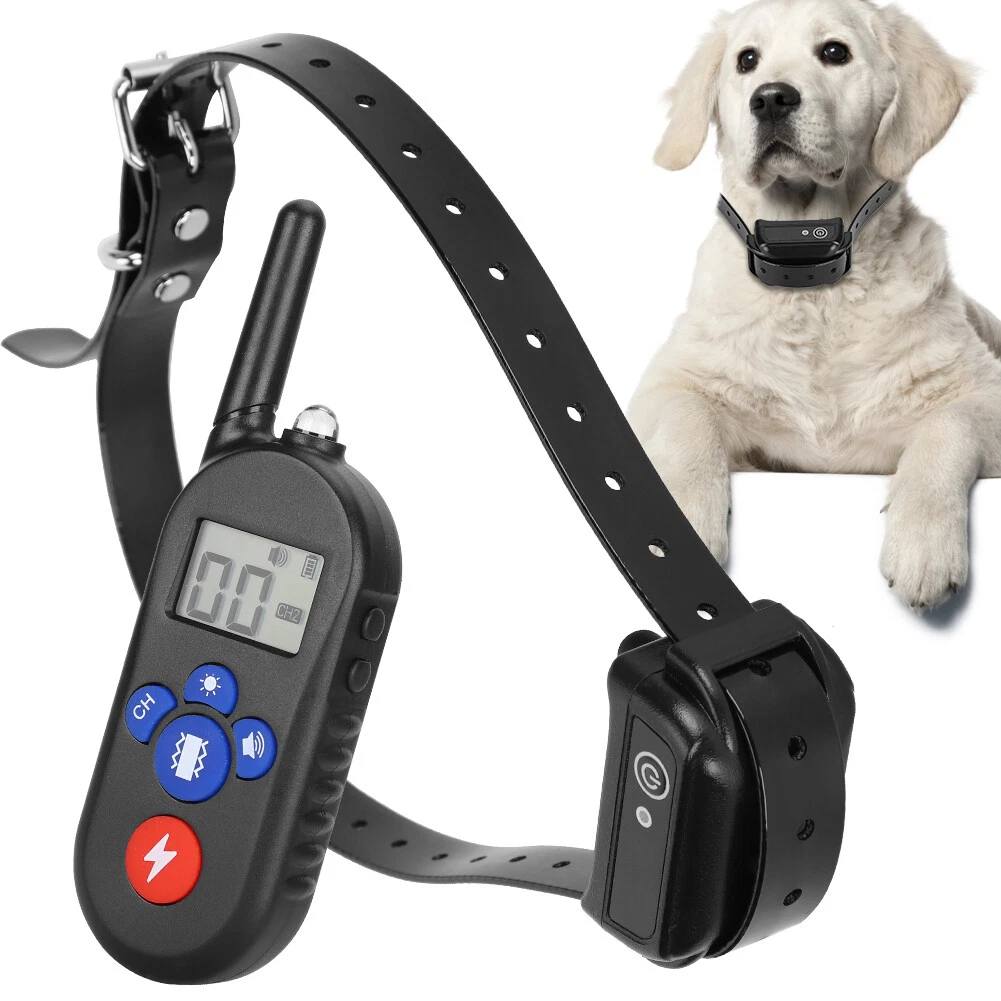Pet Dog Bark Collar Barking Control Training Collar US Plug Wide Voltage  100 Bgs | eBay