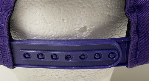 Mitchell and Ness NBA Charlotte Hornets Hat Scripted Snapback - Picture 7 of 14