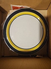 NEW ACSONS cobalt 3491 Stoneware Dinner Plate ACSONS Japan