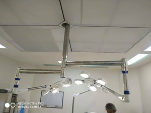 Star 84 84 Ceiling Double Dome Ot Light Ebay