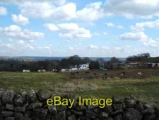 Photo 6x4 Cattle in field at Bank Top Farm Elton  c2009