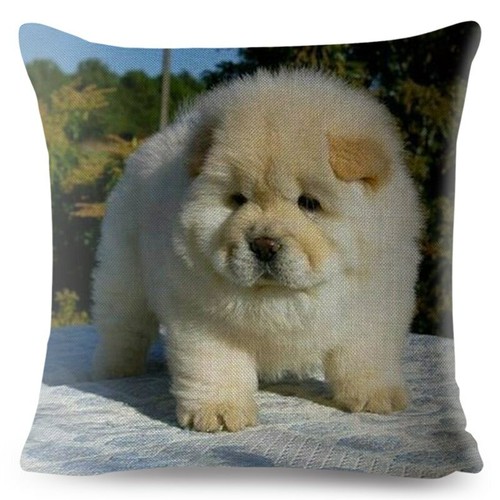 Cute Chow Chow Pet Dog Throw Cushion Covers for Sofa Home Decor Lovely Animal - Picture 11 of 38
