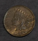 1899 Indian Head Cent BU Brown with Some Red Wood Grain...........Lot 5841