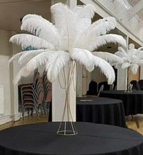 5 x XL White Ostrich Feathers -65-70cm-For Stunning Displays
