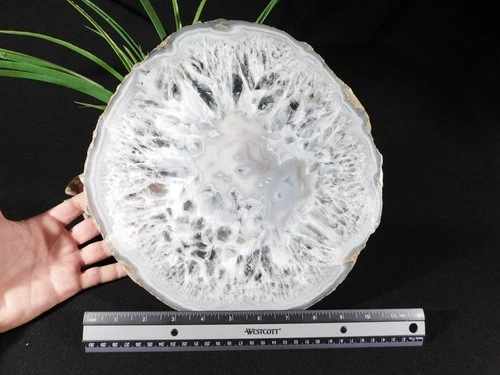 HUGE! Translucent Polished Quartz Crystal NODULE Slice or Slab Brazil 1161gr