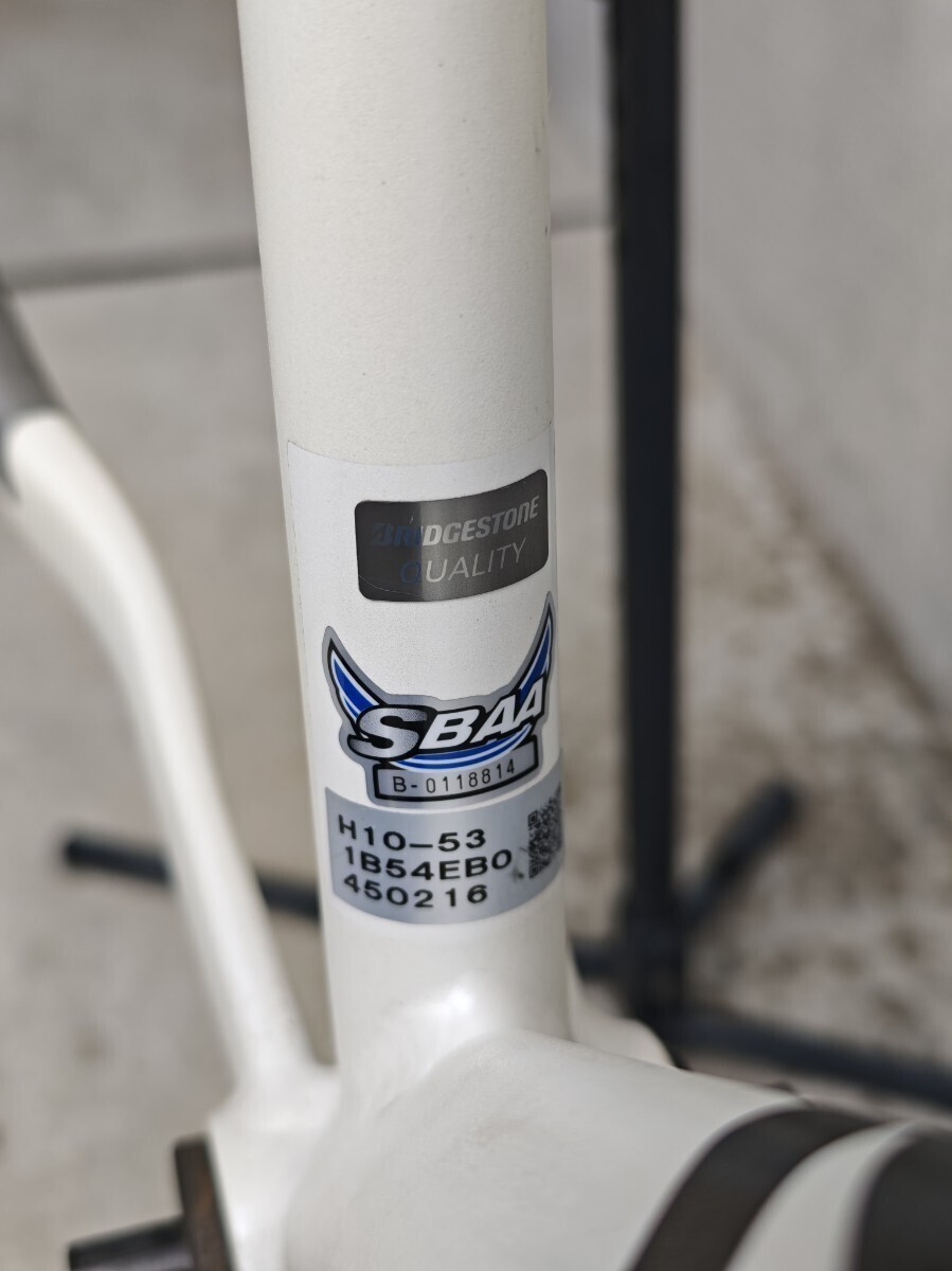 Helmz H10 Bridgestone × Narifuri Road Bike Frame 530mm From Japan