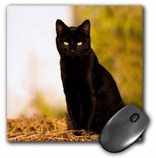 3dRose Black Cat MousePad