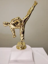 trophy or award for Karate or Martial Arts, includes engraving, new, about 7" H