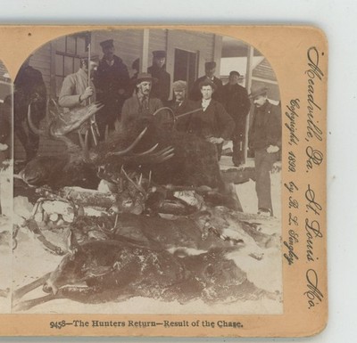 Hunters Return Result of Chase Hunting Keystone Stereoview