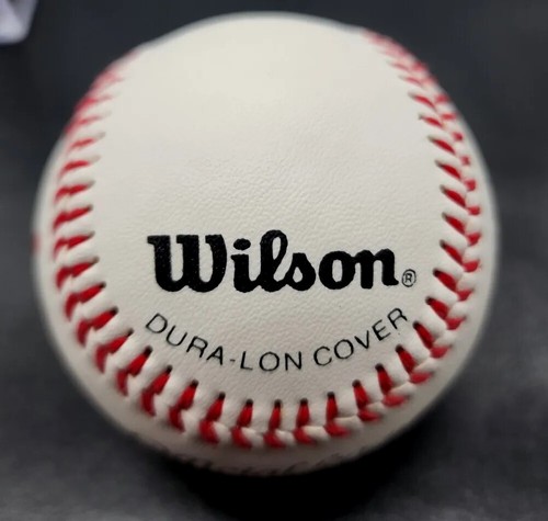 MICHAEL JORDAN AIR NIKE OFFICIAL LEAGUE BASEBALL SPRING TRAINING LIMITED EDITION - Bild 11 von 23