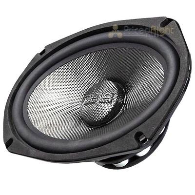 DS18 6x9'' Midbass Loudspeaker 600W Max 2 Ohm Carbon Fiber Neodymium PRO-CF69.2NR