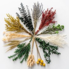 12 Kind Dried Flowers Set - Including Lavender, Eucalyptus, Wheat, Bunny Tail...