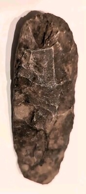 AXEHEAD NEOLITHIC STONE CHISEL TOOL CELT ADZE BLADE TUAREG ARTIFACT NIGER ETHNIX