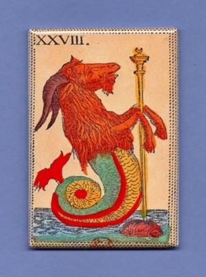 CAPRICORN *2X3 FRIDGE MAGNET* ASTROLOGICAL ASTROLOGY HOROSCOPE CELESTIAL ZODIAC