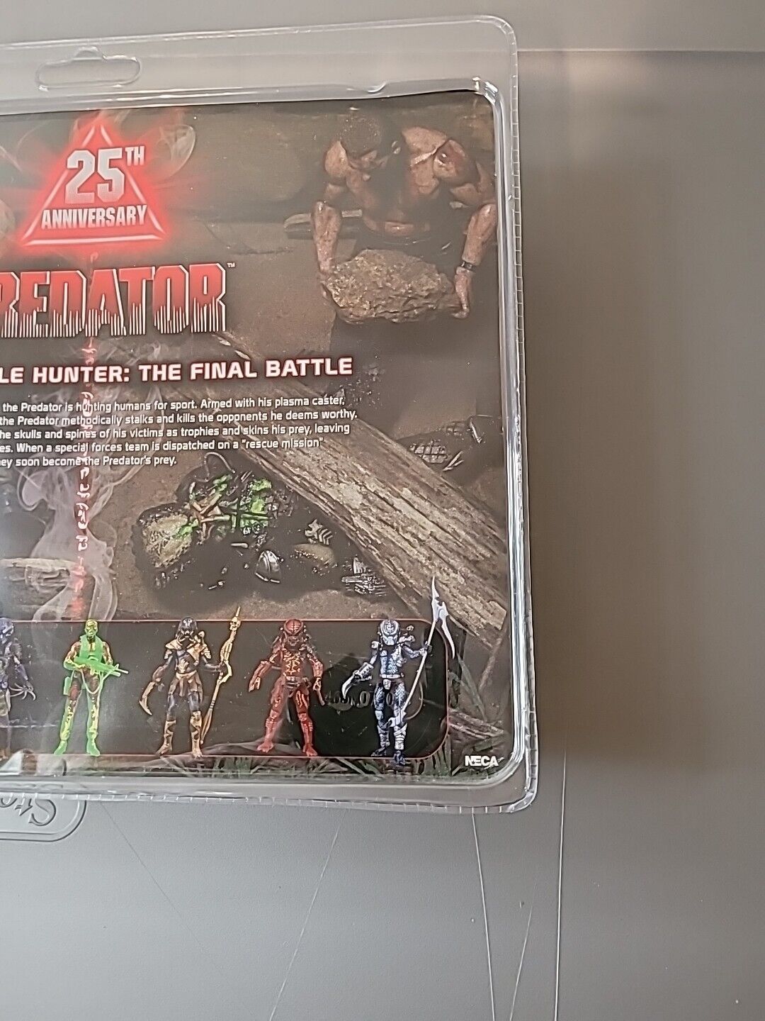 Picture 12 of 22