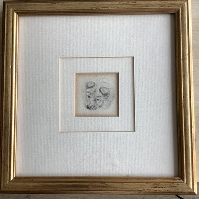 Horatio Couldery Hund Bleistiftzeichnung Album Sotheby s Provenienz kein Druck selten