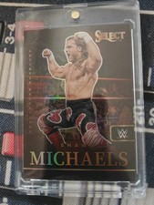 Shawn Michaels [Artistic Selections] | 2024 P...