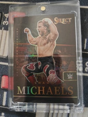Shawn Michaels [Artistic Selections] | 2024 Panini Select WWE Impressions