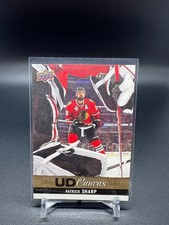 2013-14 Upper Deck UD Canvas #C52 Patrick Sharp