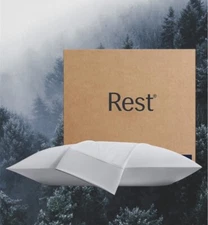 Rest Evercool Cooling Pillowcases, King/Cali King, Light Gray- 2 Pcs- Silky