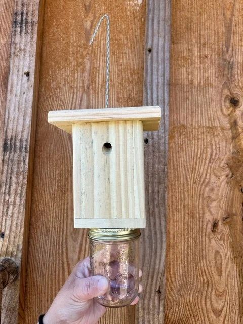 Best Carpenter Bee Trap - Patented Carpenter Bee Trap - Set of 6  Free Shipping - Image 2 of 4