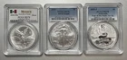 16x 1oz Silver Slabs PCGS NGC ASE Morgan Peace MS63–MS70 Bundle
