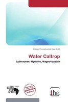 Indigo Theophanes Dax | Water Caltrop | Taschenbuch | Englisch (2026)