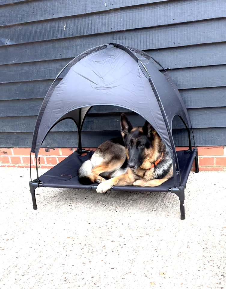 Premium Elevated Dog Bed, Raised Pet Bed Cooling Mesh Camping Cot