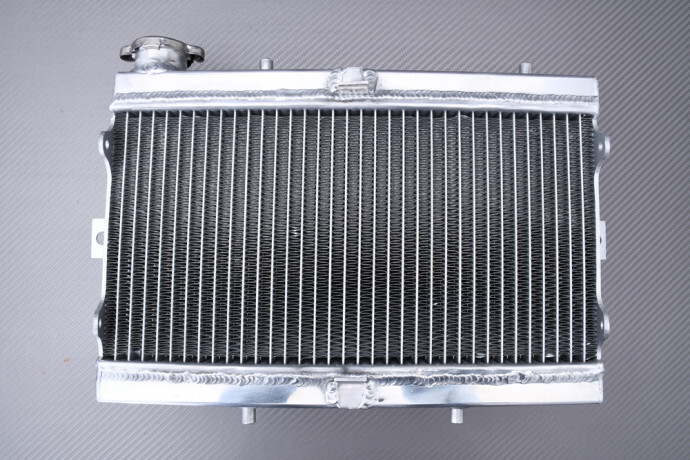 Radiateur d'Eau AVDB en Alu Renforcé Pour HONDA TRX 250R 1986-1987