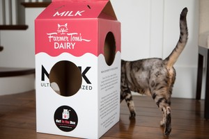 milk carton cat house