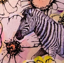 MAROON 5 - JORDI NEW CD