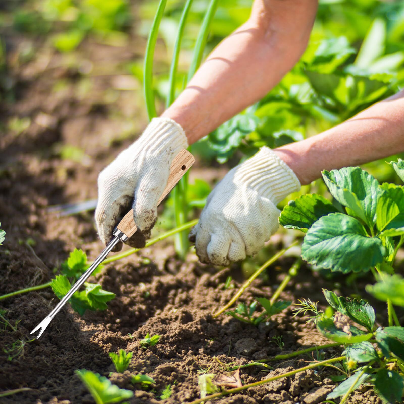 NQEUEPN 2pcs 12" Dandelion Tool 2-Pronged Manual Thistles Tool with Wooden Ha...