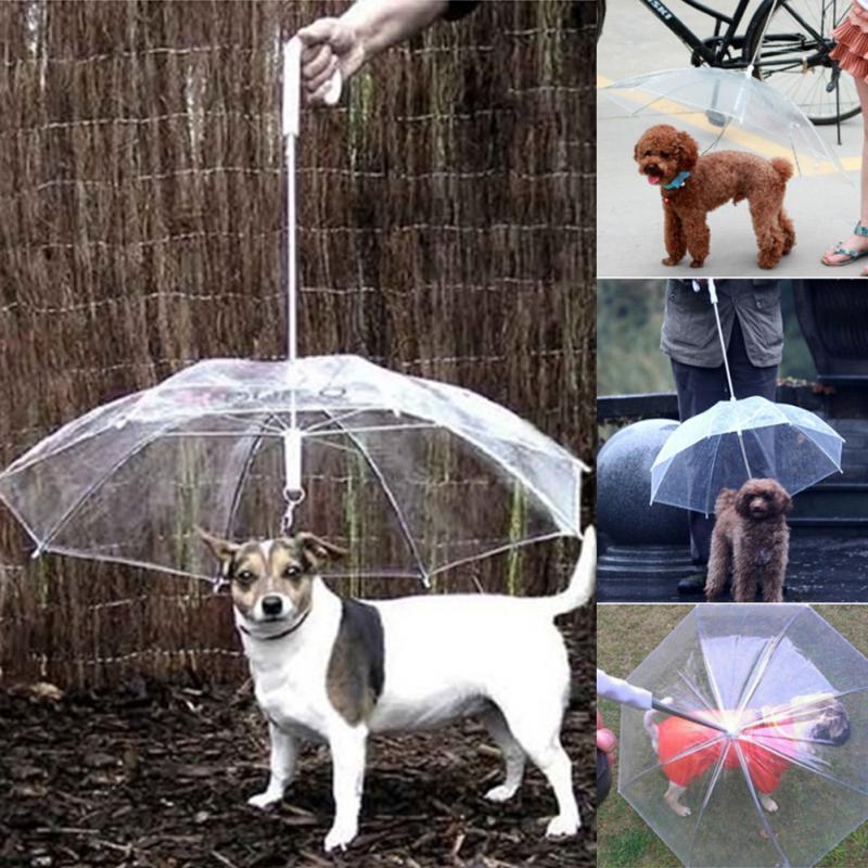 dog leash umbrella